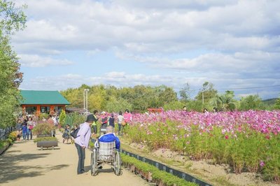 🌸 이즈미 리사이클 환경 공원(이즈미 리사이쿠루 칸쿄 코엔)